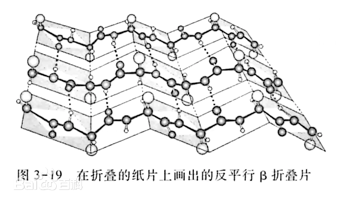 Protein Secondary Structure