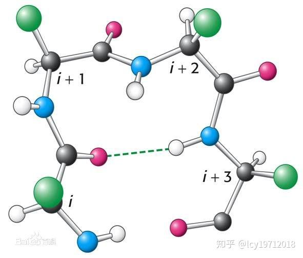 Protein Secondary Structure