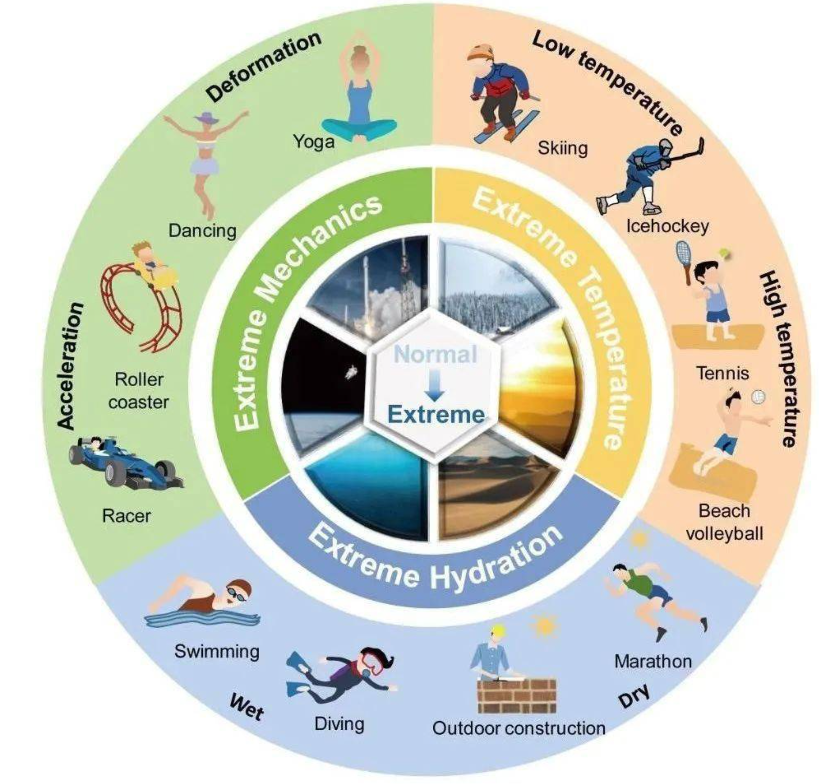酶的适应器示意图