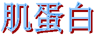 v:shapes="_x0000_s1030"