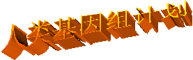 ƻ