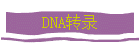 DNAת¼