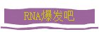 RNA