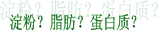 淀粉?脂肪?蛋白质?